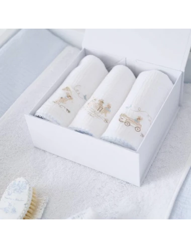 Coffret 3 langes - Blue Garden Party (60x60)