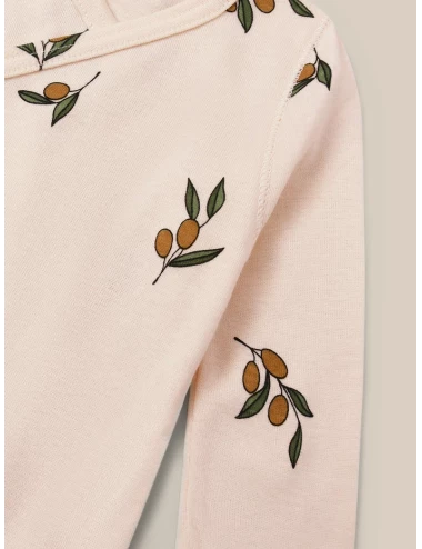 Body - Olive Garden