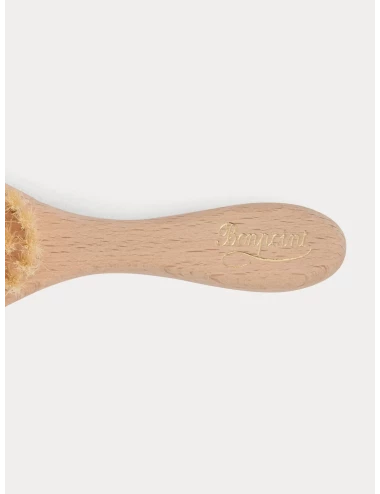 Brosse bébé