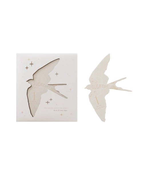 Cartes étapes - Birds