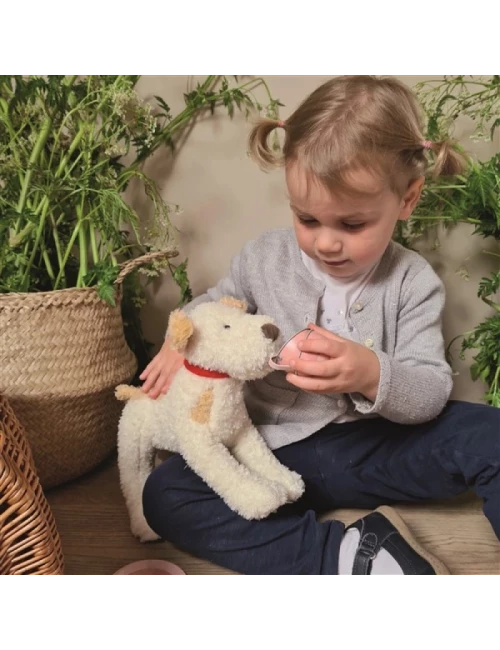 Peluche - Eliot ( moyen)