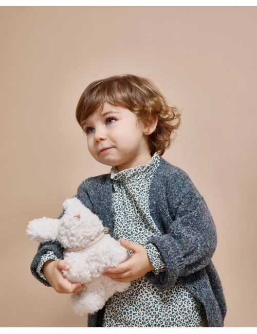 Cardigan Alpine Green