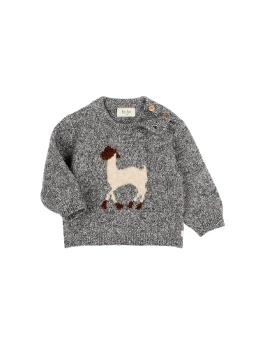 Pull Llama