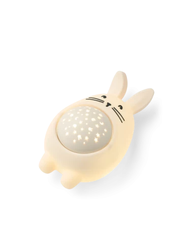 Manuel Rabbit Sound and Projector lamp