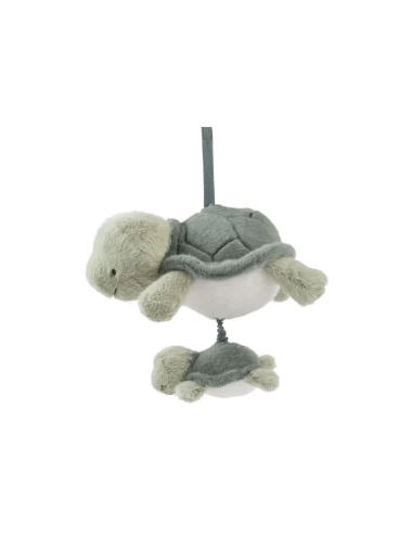 Mandy - Tortue musicale