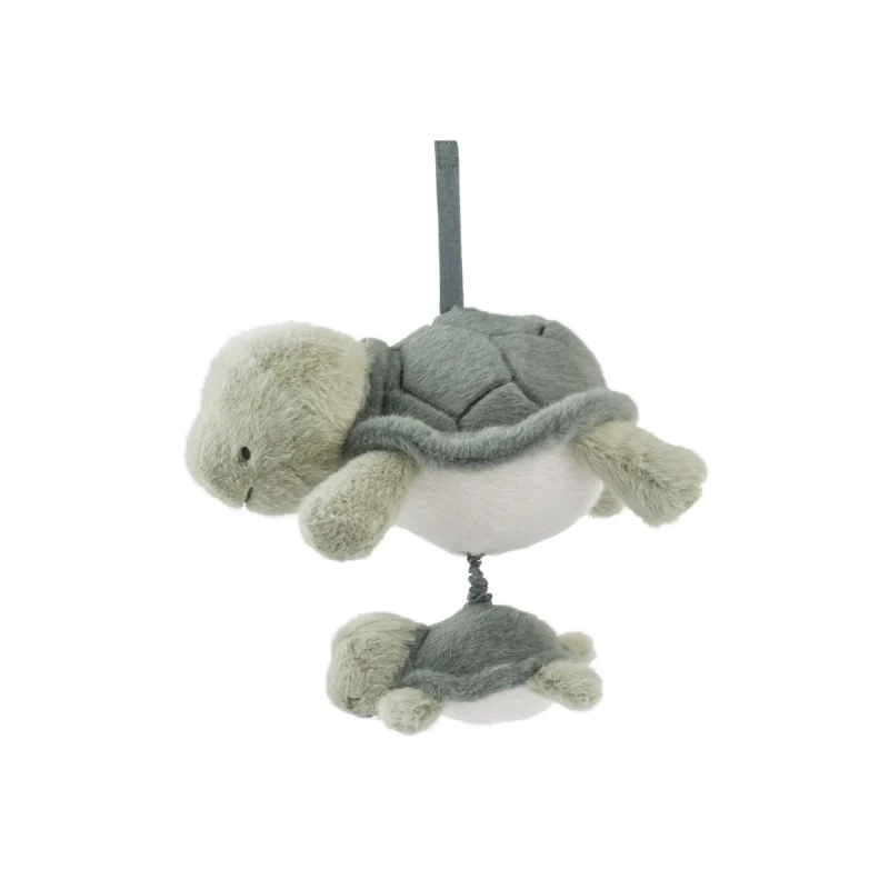 Mandy - Tortue musicale