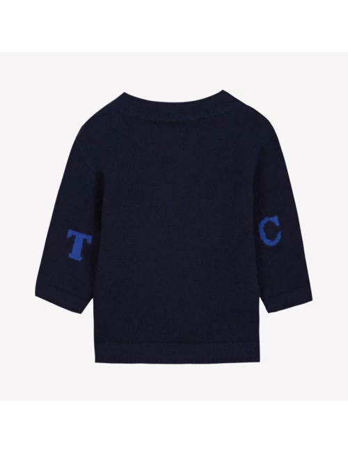 Pull - Hérisson pixel