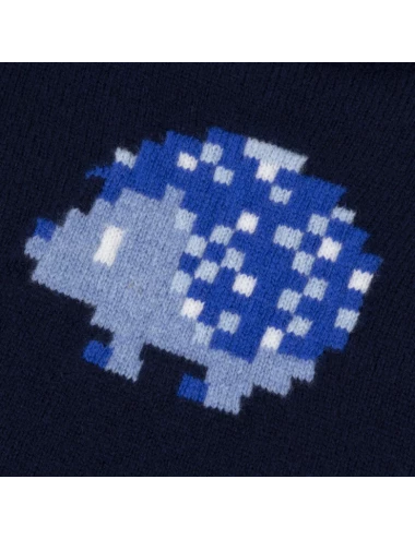 Pull - Hérisson pixel