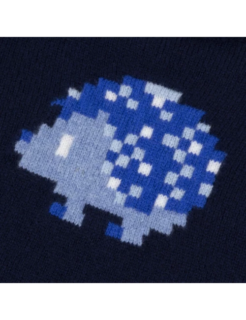 Pull - Hérisson pixel