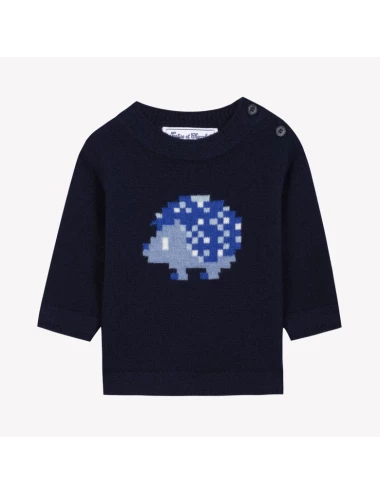 Pull - Hérisson pixel
