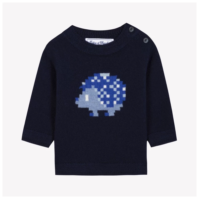 Pull - Hérisson pixel