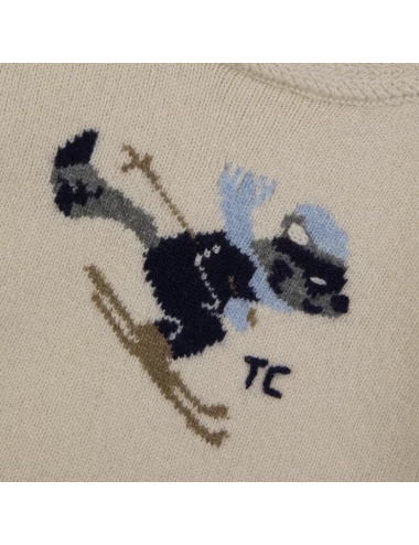 Pull - Hérisson pixel