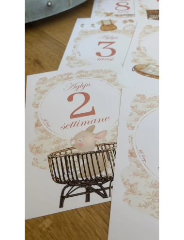 Cartes étapes - Toile de Jouy