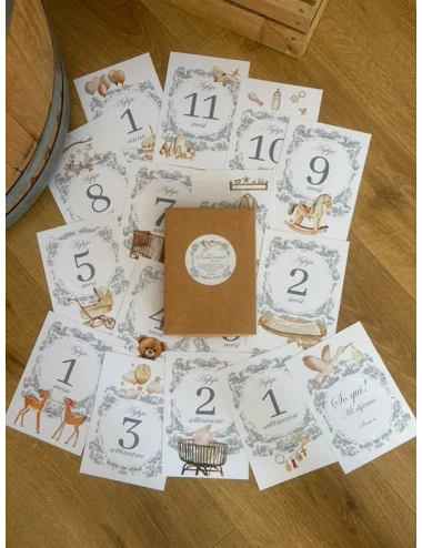 Cartes étapes - Toile de Jouy