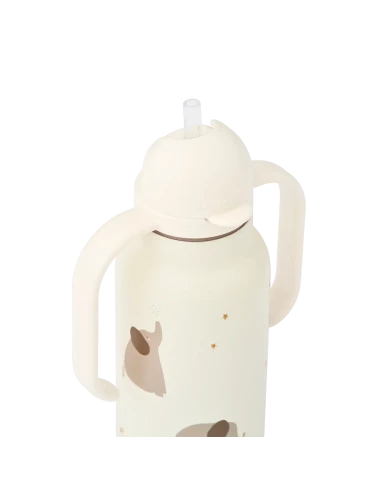 Gourde isotherme