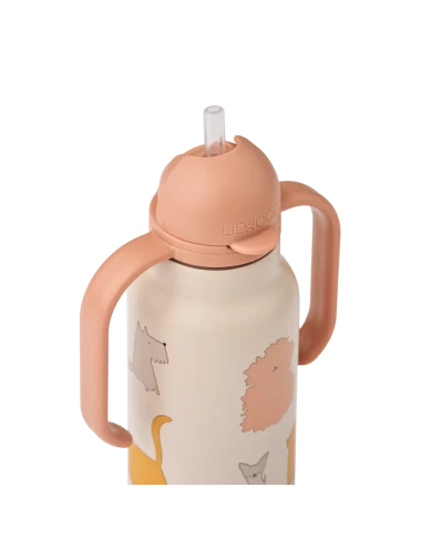 Gourde isotherme