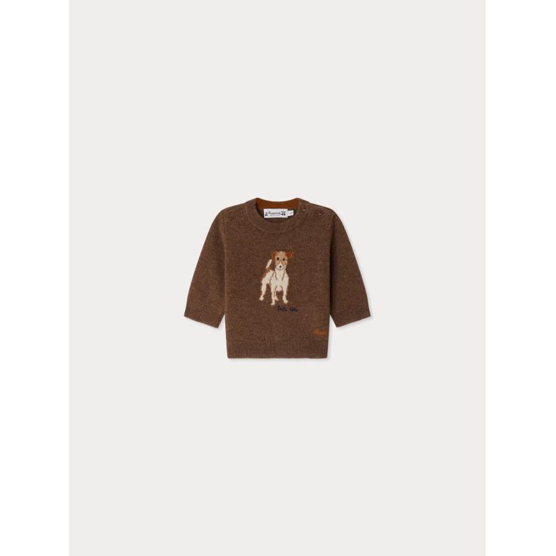 Pull Almire en jacquard avec un chien