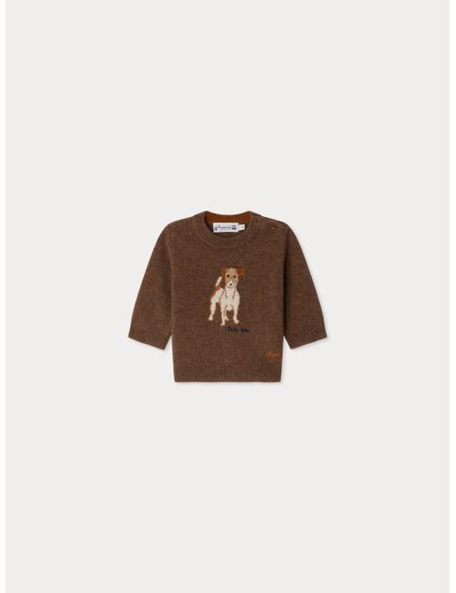Pull Almire en jacquard avec un chien