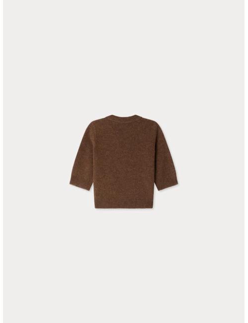 Pull Almire en jacquard avec un chien