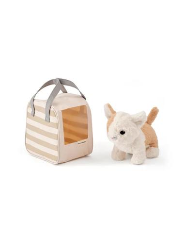 Chat et sac de transport