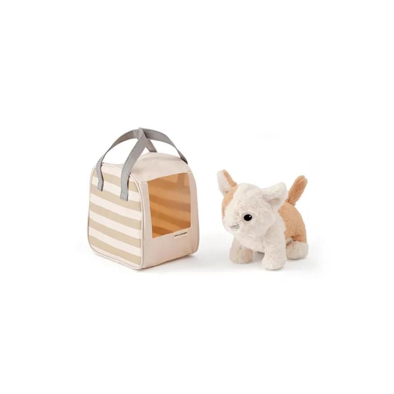 Chat et sac de transport