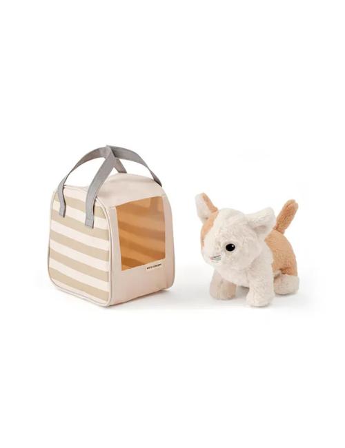 Chat et sac de transport