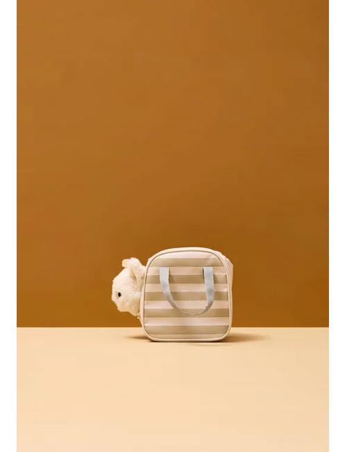 Chat et sac de transport