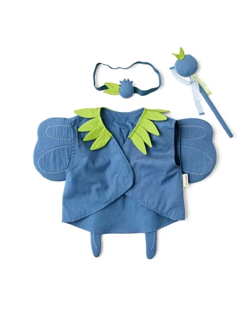 Fée des myrtilles DRESS-UP