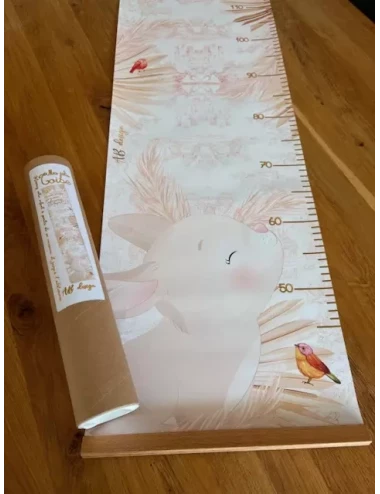 Toise - Toile de Jouy rose (avec porte affiche)