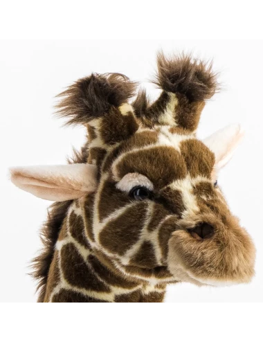 Girafe Zoé Debout 50 cm
