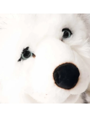 Husky Léonard Gris 45 cm