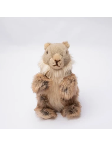 Marmotte Julie Debout 24 cm