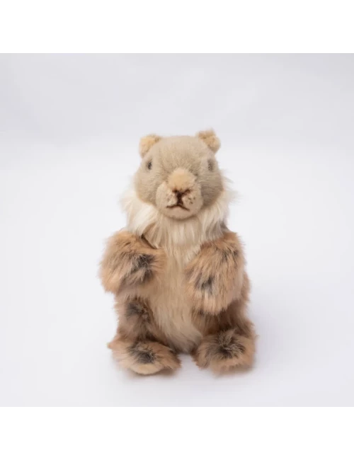Marmotte Julie Debout 24 cm