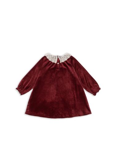 Robe Venola