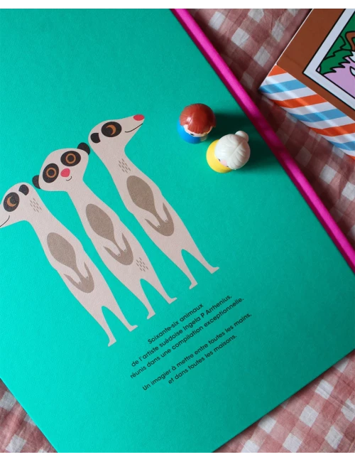 Animaux - Edition collector (à partir de 2ans)