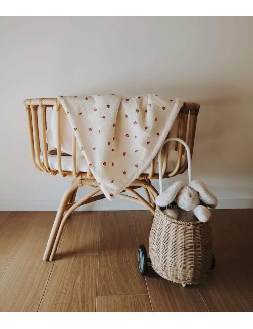 Couverture - Coccinelles