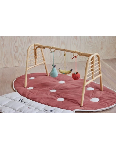 Yummy Play Gym Toy