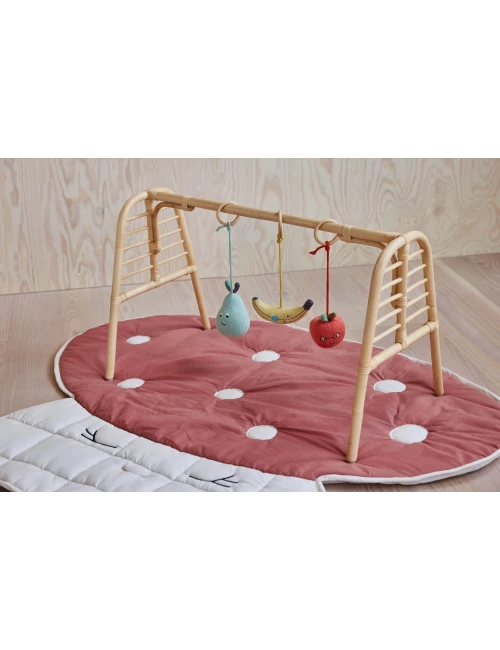 Yummy Play Gym Toy