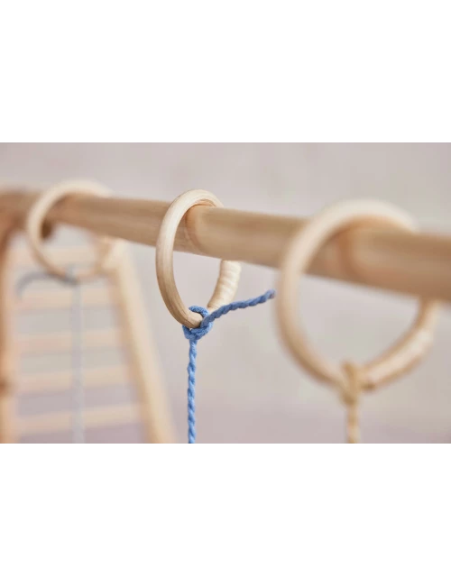 Yummy Play Gym Toy
