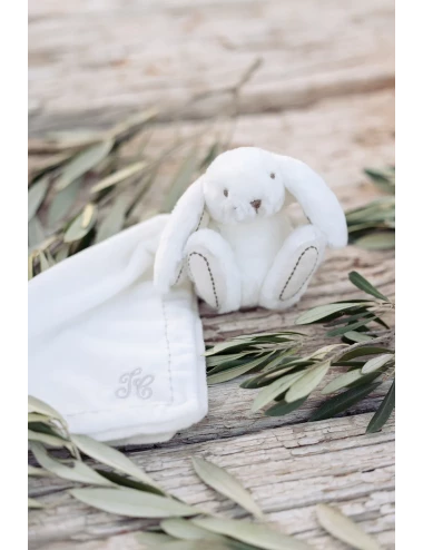 LAPIN DOUDOU