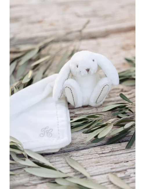 LAPIN DOUDOU
