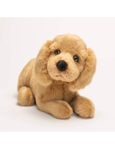 Chien Théo Cocker Allongé 50 cm
