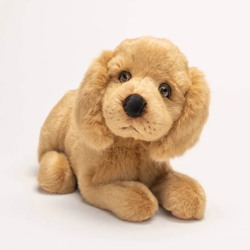 Chien Théo Cocker Allongé 50 cm