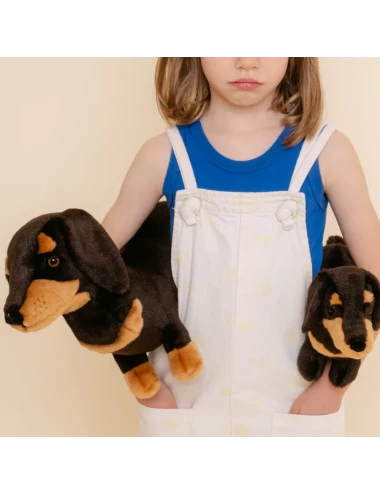 Chien Teckel Eugène 25cm