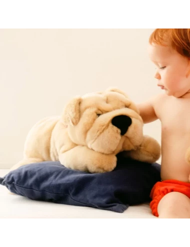 Chien Hector - 45cm
