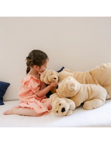 Chien Hector - 35cm