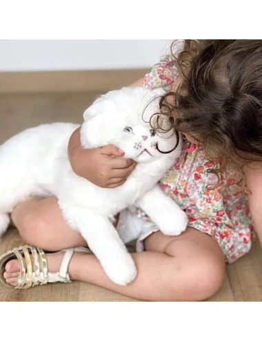 Chat Oscar - 50cm
