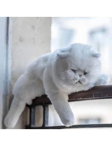 Chat Oscar - 50cm