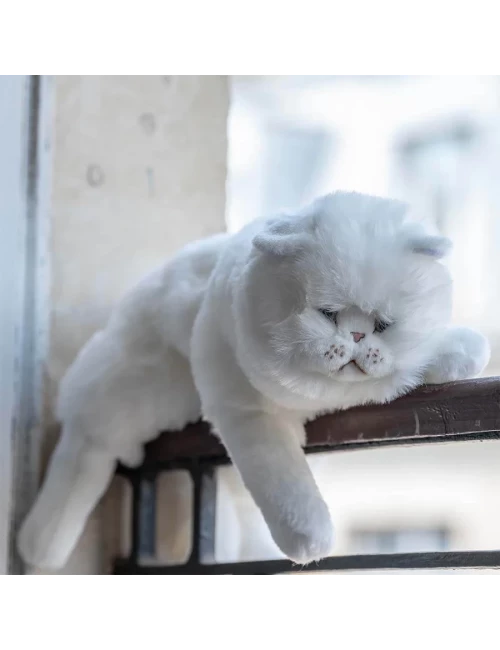 Chat Oscar - 50cm