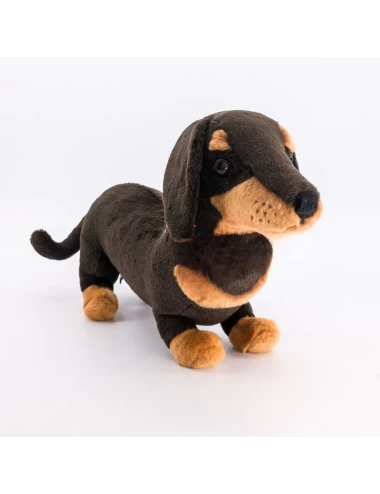 Chien Teckel Eugène 40cm